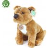 Rappa Plyšový pes stafordšírsky bulteriér sediaci 30 cm ECO-FRIENDLY Rappa Plyšový pes stafordšírsky bulteriér sediaci 30 cm ECO-FRIENDLY
