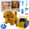 INTERAKTÍVNY PLYŠOVÝ PES PUDEL CHODÍ ŠTEKÁ V PREPRAVKE + PRÍSLUŠENSTVO INTERAKTÍVNY PLYŠOVÝ PES PUDEL CHODÍ ŠTEKÁ V PREPRAVKE + PRÍSLUŠENSTVO