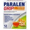 PARALEN GRIP horúci nápoj pomaranč a zázvor plo por 500 mg/10 mg (vre.PAP/Al/LDPE) 1x12 vrecúšok PARALEN GRIP horúci nápoj pomaranč a zázvor plo por 500 mg/10 mg (vre.PAP/Al/LDPE) 1x12 vrecúšok