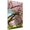 Vertikálny foto obraz sklo tvrdené Višne 50x100 cm Vertikálny foto obraz sklo tvrdené Višne 50x100 cm
