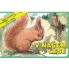 V našem lese - autor neuvedený V našem lese - autor neuvedený