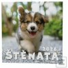 Štěňata 2026 - nástěnný… Štěňata 2026 - nástěnný…