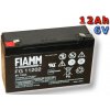 Fiamm FG11202 6V 12Ah