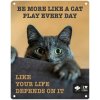 EBI D&D kovová tabuľa: ,,Be more like a cat play every day\