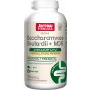 Jarrow Saccharomyces Boulardii + MOS, Probiotiká, 5 miliárd CFU, 90 rastlinných kapsúl s pomalým uvoľňovaním Jarrow Saccharomyces Boulardii + MOS, Probiotiká, 5 miliárd CFU, 90 rastlinných kapsúl s pomalým uvoľňovaním