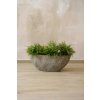 eshop-kvetinace.sk Misa na kvety BARCO, vláknocement, dĺžka 55 cm, sivá eshop-kvetinace.sk Misa na kvety BARCO, vláknocement, dĺžka 55 cm, sivá