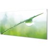 Sklenený obklad do kuchyne Drop tráva makro 100x50 cm Sklenený obklad do kuchyne Drop tráva makro 100x50 cm