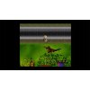Jurassic Park: Classic Games Collection Jurassic Park: Classic Games Collection
