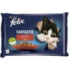 FELIX Fantastic Multipack kapsička 4x85g s hovädzím a kuracím mäsom v želé FELIX Fantastic Multipack kapsička 4x85g s hovädzím a kuracím mäsom v želé