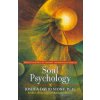 Soul Psychology (Joshua David Stone)(Brožovaná) Soul Psychology (Joshua David Stone)(Brožovaná)