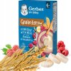 Gerber Mliečna kaša pšenično-ovsená banán a malina 200 g Gerber Mliečna kaša pšenično-ovsená banán a malina 200 g