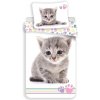 Jerry Fabrics Obliečky Kitten Colour 140x200 70x90 Jerry Fabrics Obliečky Kitten Colour 140x200 70x90