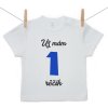 Boodyy Tričko s krátkym rukávom Už mám 1 rôčik Chlapec 68 (3-6 mesiacov) Boodyy Tričko s krátkym rukávom Už mám 1 rôčik Chlapec 68 (3-6 mesiacov)