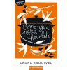 COMO AGUA PARA CHOCOLATE (Cendán Martinez,Vázquez Salvadores)(Kniha) COMO AGUA PARA CHOCOLATE (Cendán Martinez,Vázquez Salvadores)(Kniha)