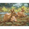 ZUTY Maľovanie podľa čísel - LEŽIACE SRNY (D. RUSTY RUST) Rámovanie: bez rámu a bez vypnutia plátna, Rozmer: 40x50 cm ZUTY Maľovanie podľa čísel - LEŽIACE SRNY (D. RUSTY RUST) Rámovanie: bez rámu a bez vypnutia plátna, Rozmer: 40x50 cm