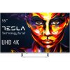 TESLA 55E635SUS
