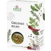 GREŠÍK Grilovacie byliny 40 g GREŠÍK Grilovacie byliny 40 g