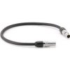 Tilta Nucleus-M II 7-Pin to 7-Pin Connection Cable (30cm) Tilta Nucleus-M II 7-Pin to 7-Pin Connection Cable (30cm)