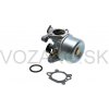 Garden ND Karburátor pre motory Briggs & Stratton Quantum Serie 625E 675EX 725EX 625-675 výkon 3,5 PS - 6,5 PS Garden ND Karburátor pre motory Briggs & Stratton Quantum Serie 625E 675EX 725EX 625-675 výkon 3,5 PS - 6,5 PS