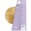 Subrina Professional Colour Demi-Permanent AminoPlex 9/3 60ml Oficiálna distribúcia Subrina Professional Colour Demi-Permanent AminoPlex 9/3 60ml Oficiálna distribúcia