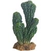 Hobby Kaktus Victoria 1, 19cm Hobby Kaktus Victoria 1, 19cm