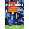 Elektronika - Jan Vobecký, Vít Záhlava