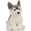 Detská plyšová hračka Living Nature - Psík Husky uni Detská plyšová hračka Living Nature - Psík Husky uni