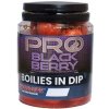 Boilies v dipu StarBaits Probiotic Blackberry In Dip Pro Black Berry 150g 20mm Boilies v dipu StarBaits Probiotic Blackberry In Dip Pro Black Berry 150g 20mm