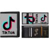 Tik Tok Colour Logo