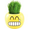Happy Bonsai HILARITY-2 Keramický kvetináč Smajlík so živou bonsai trávou 7,5 x 7,7 x 6,6 cm, žltý Happy Bonsai HILARITY-2 Keramický kvetináč Smajlík so živou bonsai trávou 7,5 x 7,7 x 6,6 cm, žltý