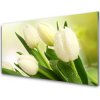 Obraz na skle Tulipány kvety rastlina 100x50 cm Obraz na skle Tulipány kvety rastlina 100x50 cm