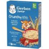 Gerber Junior nemléčná kaše jahodová s křupavými kousky 200 g Gerber Junior nemléčná kaše jahodová s křupavými kousky 200 g