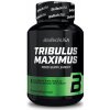 Tribulus Maximus 90 tabliet - BioTech USA Tribulus Maximus 90 tabliet - BioTech USA