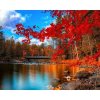 Diamantový obraz Jeseň Diamantový obraz Jeseň