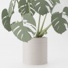 Monstera Magnetica – 3D Tlačená Dekorácia & Podložky pod Poháre Farba listov: zelená, Vyber typ kvetináča: Wave, Vyber farbu kvetináča: biela muted Monstera Magnetica – 3D Tlačená Dekorácia & Podložky pod Poháre Farba listov: zelená, Vyber typ kvetináča: Wave, Vyber farbu kvetináča: biela muted