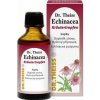 Dr.Theiss Echinacea forte sol.por.1 x 50 ml Dr.Theiss Echinacea forte sol.por.1 x 50 ml