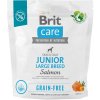 Brit Care Grain-free Junior Large Breed Salmon 1 kg