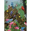 Puzzle Lesní Vtáci 1000 Kusov Cobble Hill Puzzle Lesní Vtáci 1000 Kusov Cobble Hill