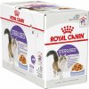 Royal Canin Sterilised Jelly kapsička pre kastrované mačky v želé 12 x 85 g Royal Canin Sterilised Jelly kapsička pre kastrované mačky v želé 12 x 85 g