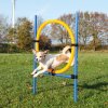 Trixie Agility - krúžok (preskakovacia prekážka) 115 cm × Ø 3 cm, Ø 65 cm (TRX3208) Trixie Agility - krúžok (preskakovacia prekážka) 115 cm × Ø 3 cm, Ø 65 cm (TRX3208)