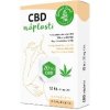Zelená zeme CBD náplasti 12 ks Zelená zeme CBD náplasti 12 ks