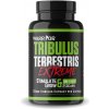 Warrior - Tribulus Terrestris Extreme 90% kapsuly 250 caps Warrior - Tribulus Terrestris Extreme 90% kapsuly 250 caps