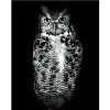 Diamondi Diamantové maľovanie ČIERNOBIELA SOVA bez rámu a bez vypnutia plátna Diamondi Diamantové maľovanie ČIERNOBIELA SOVA bez rámu a bez vypnutia plátna