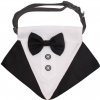 Formal motýlik pre psov čierna Formal motýlik pre psov čierna