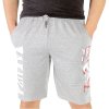 Pánske kraťasy bledosivé (Kraťasy pánske teplákové s potlačou, voľnočasové oblečenie) Pánske kraťasy bledosivé (Kraťasy pánske teplákové s potlačou, voľnočasové oblečenie)