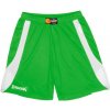 Spalding Jam Shorts 40221004 greenwhite