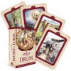 Spirit of the Drum Oracle Spirit of the Drum Oracle