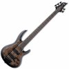 ESP LTD B-5E Charcoal Burst Satin 5-strunová basgitara (Poškodené) ESP LTD B-5E Charcoal Burst Satin 5-strunová basgitara (Poškodené)