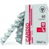VetaPro Cardio 60 kapsúl VetaPro Cardio 60 kapsúl