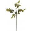 Umelá kvetina eukalyptus výška 92 cm Bloomingville - zelená Umelá kvetina eukalyptus výška 92 cm Bloomingville - zelená